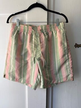 Forever 21 Pastel Pink and Mint Green Striped Men’s Swim Trunks
